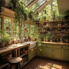 a kitchen filled with lots of potted plants next to a window covered in sunlight