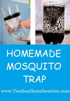 a collage of photos with the words homemade mosquito trap in blue and white text