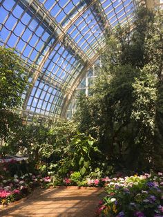 the inside of a large greenhouse with lots of flowers