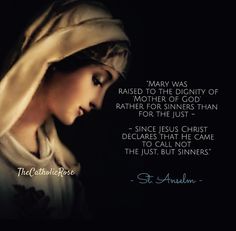 Mother Mary Quotes, Immaculate Mary, Chapel Veil Catholic, Hail Holy Queen, Saints Quotes, Mary Immaculate, Catholic Beliefs, Saint Quotes Catholic