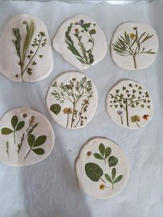 nine pressed flowers and leaves on white stone coasters, each with different plants in them