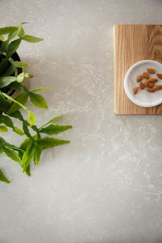 a white plate topped with almonds on top of a wooden cutting board next to a potted plant