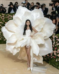 Met Gala Outfits, Met Gala Dresses, Gala Outfit, Runway Fashion Couture, Runway Dresses, Fairytale Dress, Mode Design, Gala Dresses, Fashion Design Sketches