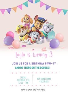 paw patrol birthday party with balloons and buntings on the ground, including an image of three puppies