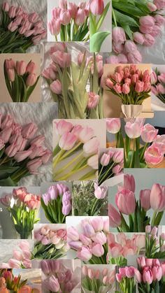 pink tulips and other flowers are arranged in multiple pictures, including one with green leaves