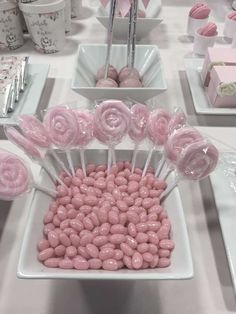 pink candy lollipops are arranged on white plates