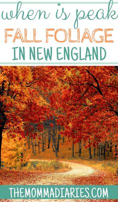 fall foliage with the words when it's peak fall foliage in new england