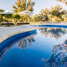 an empty swimming pool surrounded by trees and umbrellas on a sunny day in the park