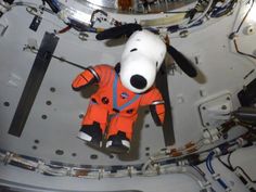 a stuffed dog in an orange space suit on the inside of a space station ceiling