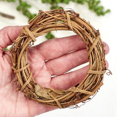 a hand holding a wreath made out of twigs