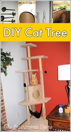 a cat tree that is in the middle of a room