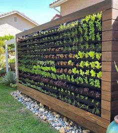 an outdoor garden with plants growing on the side of a wooden structure and rocks in front of it