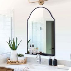 a bathroom sink with a large mirror above it and a potted plant on the counter