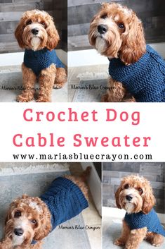 the crochet dog cable sweater is shown in four different pictures, and it looks like