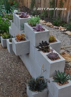 several cement planters with succulents and plants in them on the side of a fence