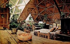 the inside of a dome house with wooden floors and walls, filled with plants and furniture