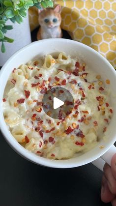 a white bowl filled with macaroni and cheese next to a potted plant