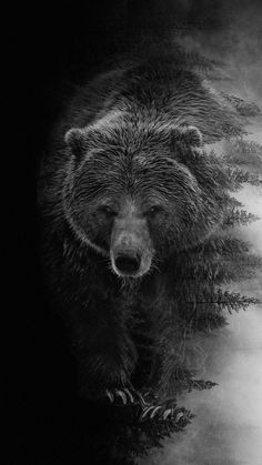 a black and white photo of a grizzly bear in the woods with fog coming from behind it