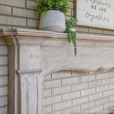 a potted plant sitting on top of a mantle