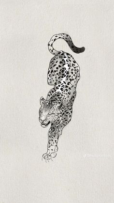 a black and white drawing of a cheetah running on its hind legs in the air