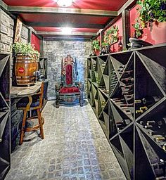 a long narrow room with lots of shelves and plants on the wall, in front of a red painted ceiling