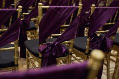 rows of chairs with purple sashes on them