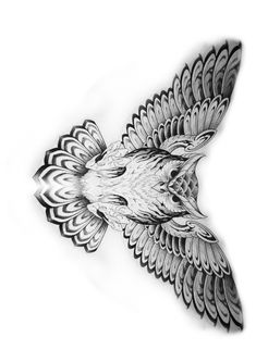 a drawing of an eagle flying through the air