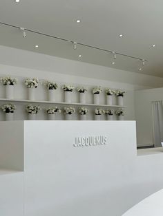 there is a white wall with flowers on it and the name jacoulimus