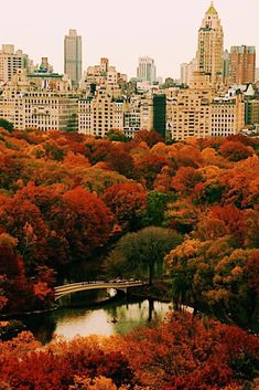 the city is full of tall buildings and lots of trees with orange leaves on them