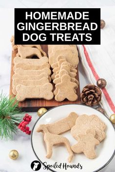 homemade gingerbread dog treats on a plate