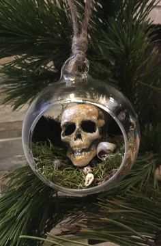 a glass ornament with a skull in it on a pine tree branch, hanging from a rope