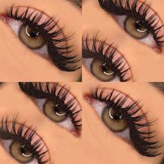 Eyelashes Ideas, Types Of Eyelash Extensions, Day Eye Makeup, Best False Eyelashes, Big Lashes, Foto Top