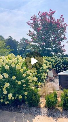 an outdoor hot tub surrounded by shrubbery and flowers