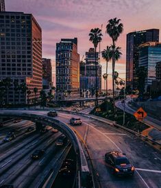 cars are driving on the highway in front of tall buildings and palm trees at sunset