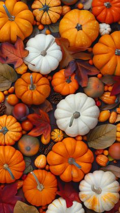 many pumpkins and gourds are arranged together