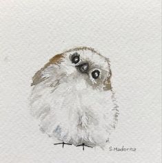 a watercolor painting of an owl on white paper