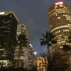 some very tall buildings with lights on at night in the city, and palm trees