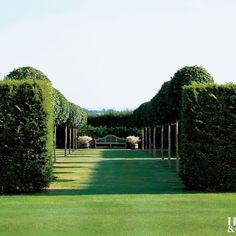 an image of a beautiful garden setting with trees in the middle and benches on the other side