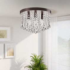 a living room with a potted plant and chandelier hanging from the ceiling