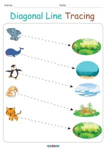 the diagram shows different types of animals that can be seen in this worksheet