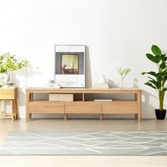 a living room with plants and a television on the stand in it's center