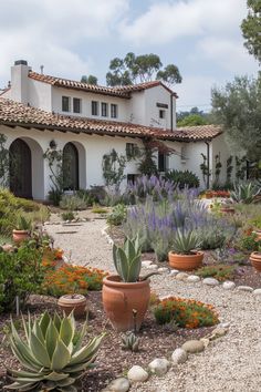 a house with many potted plants in front of it and a gravel path leading to the front door