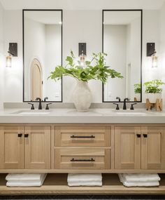 a bathroom with two sinks, mirrors and plants in the vase on the counter top