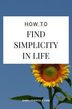 Are you looking for more simplicity in life? Here are 20 of my favourite minimalist living tips that will help you get started. Simplicity In Life, Minimalist Living Tips, Minimalist Closet, Minimalism Lifestyle, Clearing Clutter, Intentional Living, Minimalist Lifestyle, Living Tips