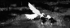 black and white photograph of two people in the grass with wings outstretched to each other