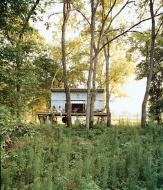 an outhouse in the woods surrounded by tall grass and trees with people on it