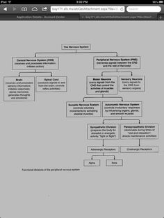 a flow diagram with several different types of information on it, including the words and numbers