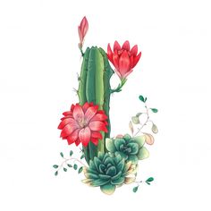 a cactus with red flowers and green leaves on the side, painted in watercolor