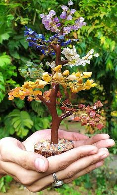 a person holding out their hand with a miniature tree in it