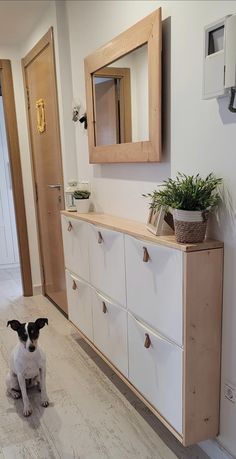 a dog sitting on the floor in front of a white dresser and mirror with wood trim